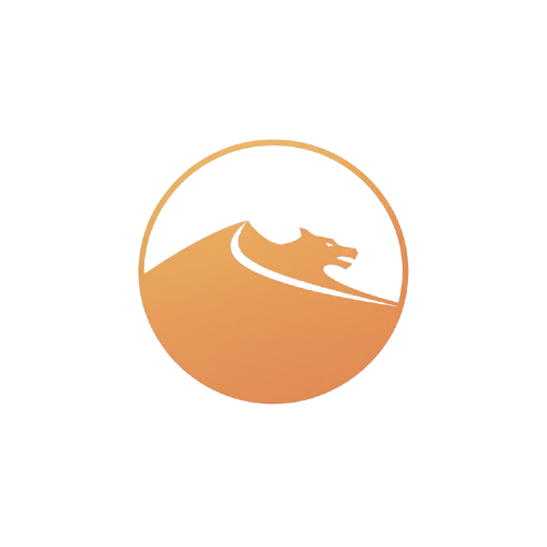 DSolutions